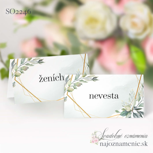 SO2246 - menovka