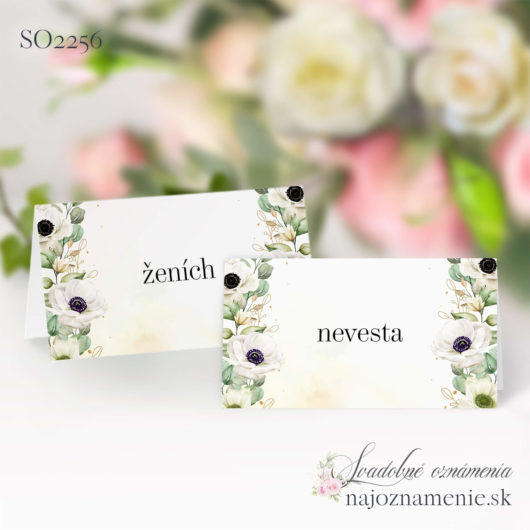 SO2256 - menovka