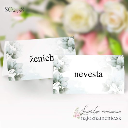 SO2358 - menovka